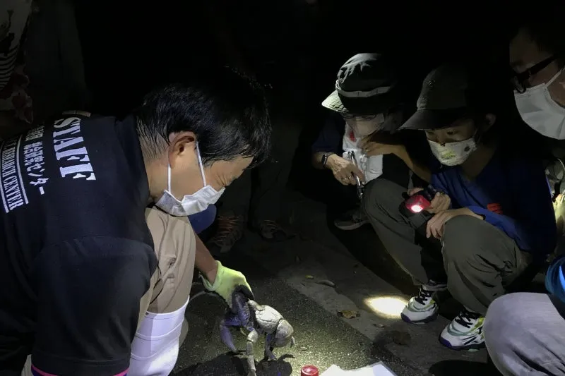 夜のナイトツアーの様子
