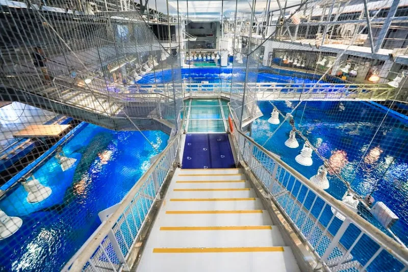 水族館のバックヤード見学