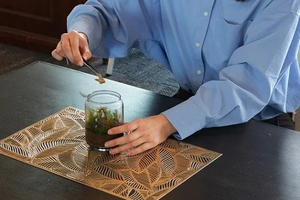 瓶の中に苔を配置するテラリウム作りの様子