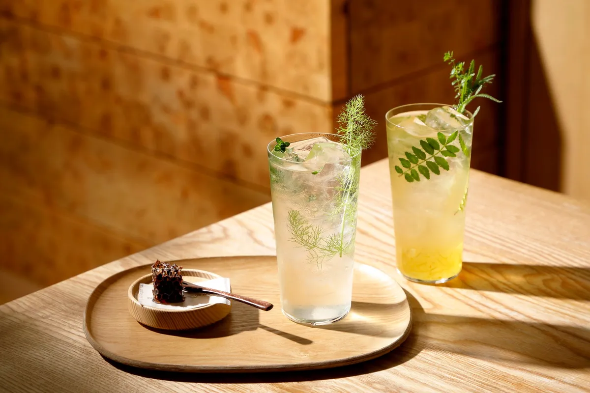 ハーブが添えられた爽やかなソーダと緑茶のドリンク