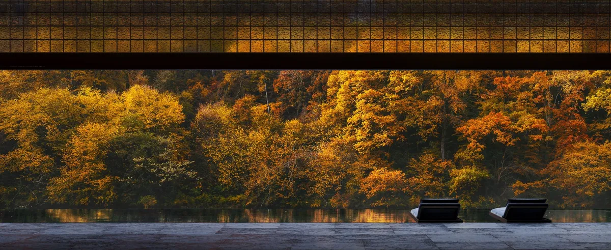 テラスから望む鮮やかな紅葉の景色