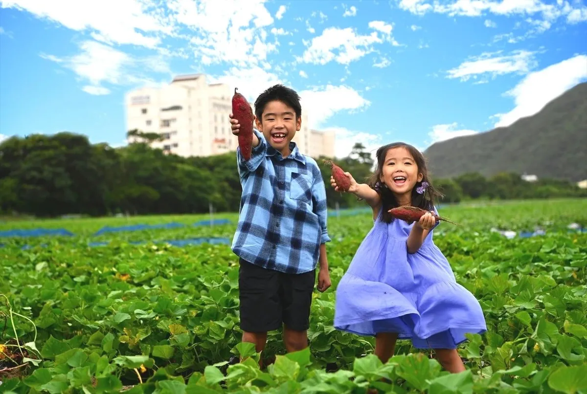 芋掘りを楽しむ笑顔の子どもたち